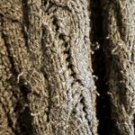 Gray Cardigan Sweater Knitted Size L Photo 3