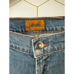 James Preserved Denim Light Blue Flare Denim Jeans Photo 5