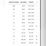 Chico's Zenergy By  Black Golf Pants Size 2 Photo 1