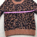 ZARA : Fuzzy Animal Print Sweater Photo 2