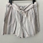 CeCe  Cotton Striped Shorts Size  14 Photo 2