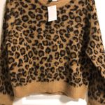 H&M Cheetah Print Sweater Photo 0