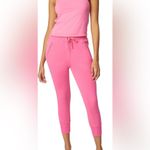 Bandier  x Sincerely Jules Bright Rose The Juniper Jogger Photo 4