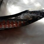 Lucky Brand Sequined Flats Photo 5