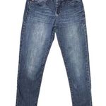 Dear John Women's Straight Jeans Size 27 Medium Wash Blue Denim Photo 0