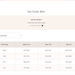 Free People NWT Gemini Hip Belt in Uncut Emerald Photo 2