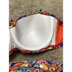 Bleu Rod Beattie New.  Groovy Baby bikini set. Size-40D/18W Photo 14