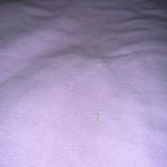 Comfort Colors Seaside Sweatshirt Photo 2