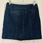 Loft Ann Taylor skirt Photo 1