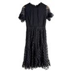 Saloni Andie Black Polka Dot Mesh Short Sleeve Cocktail Midi Dress Size 6 Photo 4