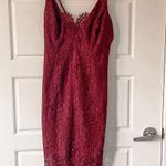 Bardot Pencil Lace Dress Photo 5