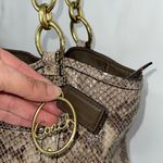 Coach Women’s Authentic Leather Exotic Python Studded Shoulder Bag Taupe Brown O Photo 4
