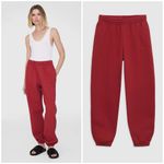ANINE BING karter jogger sweatpants in washed red size large Photo 1