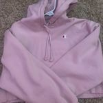 Champion Cropped Hoodie Photo 0