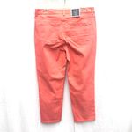 Charter Club NWT 10  Bristol Capri Jeans Women’s Photo 1