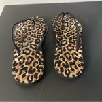 Abound  Leopard Print Flip Flops NEW Photo 2