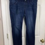 Lee Riders by Jeans Womens 14P PETITE Blue Denim Straight Mid Rise Retro Photo 0