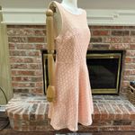 Betsey Johnson  peach lined lace dress with peekaboo sheer lace collar & back / 6 Photo 9