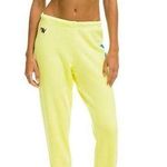 Aviator Nation Neon Sweats Photo 0