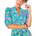 Lilly Pulitzer Shona knee length formentera dress Photo 1