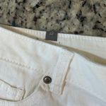 LC Lauren Conrad  Cream Jean Shorts Photo 2