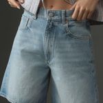 DL1961 Taylor Shorts Photo 0