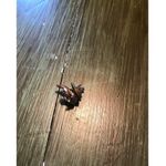 Vintage Cherub Angel Holding Heart Gold Tone Metal Lapel Pin Photo 4