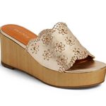Jack Rogers Rory Floral Gold Platinum Wedge Sandals Size 8 Photo 1