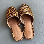 Madewell  Mule Leopard Print Calf Half Classic Womens Size 8 Photo 3