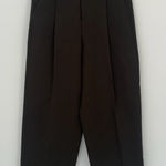 ZARA  Pleated Pants Photo 0
