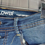 Wall Flower Distressed The Flirty Curvy high rise skinny jeans Photo 2