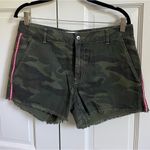 Sundry  Camo Shorts - Size 29 Photo 3