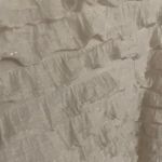 Free People  Dress  Photo 1