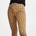 Madewell NWT  EGYPTIAN GOLD PAINTED SPOTS Jeans Photo 1