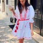 Alemais HEARTS EMBROIDERED MINI DRESS Red Size 2 Photo 0