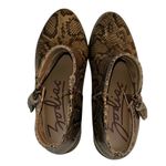 Zodiac  Brown & Tan Snake Multi Ankle Boots(6M) Photo 9