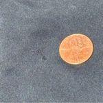 Lululemon Size 4 Black Outrun Tight Photo 8