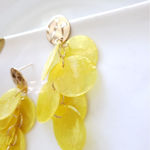 ZARA New!  Natural Shell Earrings Photo 6