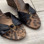 Antonio Melani Leather Wedge Sandals Size 6 Strappy Snake Print Photo 2
