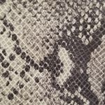 ALLSAINTS ππ Lena Oba Leather Skirt ~ Snake Green Photo 11