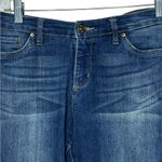 Vintage America Boho Skinny Ankle 6/28 Blue Photo 9