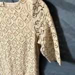 Banana Republic : Silver Dollar Lace 3/4 Length Dress- Cotton Blend- 4 Photo 6