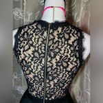 Francesca's Collections Alya Black Lace Cocktail Dress Photo 5