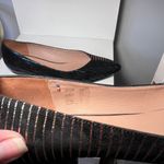 Bocage Metallic Striped Pointed Toe Flats Black & Blue Elegant Shoes Photo 3