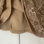 Max and Cleo  Lace Mini Dress Sleeveless Tan Black Contrast Lined Zip Up Zipper 8 Photo 4