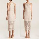 Shona joy  Lace High Neck Midi Dress Beige Nude Size 6 Lined Scalloped Hem Bridal Photo 1