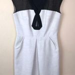 Lela Rose Women’s Taupe and Black Embroidered Top Silk Lined Dress Size 6 Photo 0