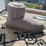 UGG  Women's Plush boots Photo 2