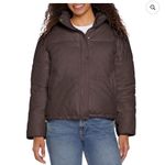EXPRESS  Women's Puffer Jacket Medium NWT Photo 3