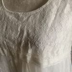 Mystree NWT--LACE DRESS Photo 2